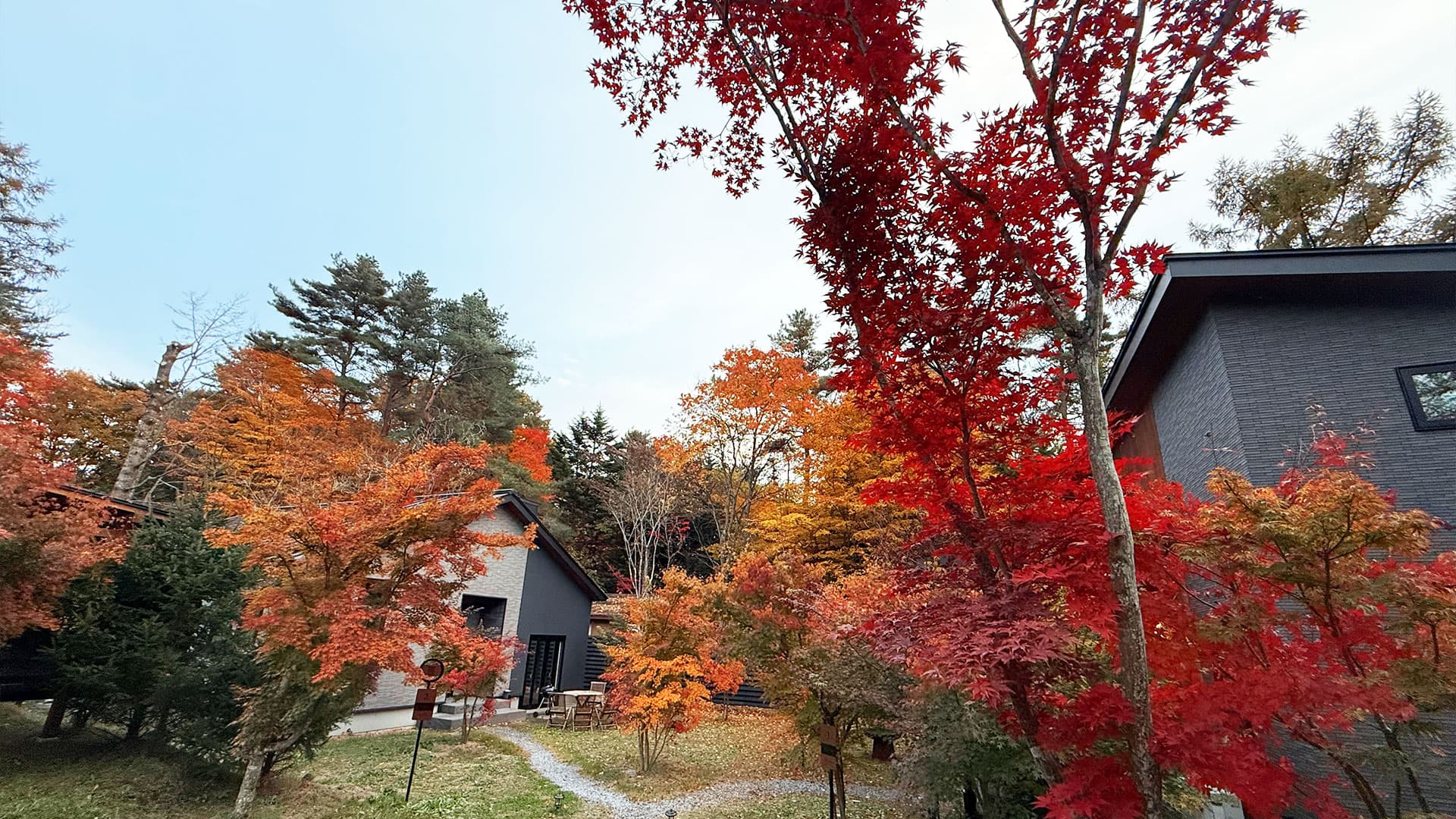 画像:紅葉に染まった森の中に建つコテージ風の建物。