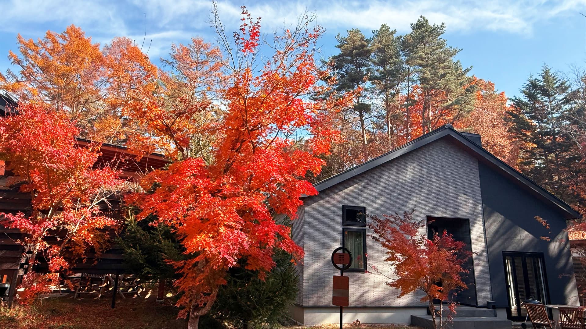 画像:紅葉に染まった森の中に建つコテージ風の建物。